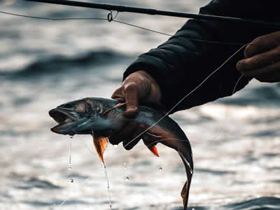 Fishing